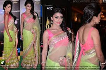 Shriya Saran Replica Saree