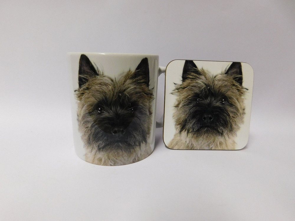 Boston Terrier mug and coaster set 