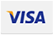 We Accept Visa