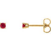 14kt Yellow 2.5mm Round Ruby Earrings