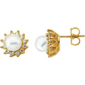 14kt Yellow Pearl & 1/3 CTW Diamond Earrings