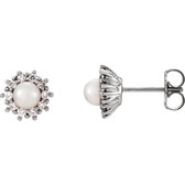 14kt White Freshwater Cultured Pearl & 1/3 CTW Diamond Earrings