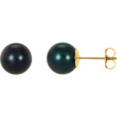14kt Yellow 8mm Black Akoya Cultured Pearl Earrings