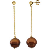 14kt Yellow Freshwater Cultured Dyed Chocolate Pearl Earrings