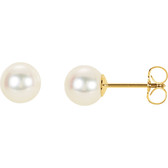14kt Yellow 6.5-7mm Panache&trade; Freshwater Cultured Pearl Earrings