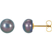 14kt Yellow Freshwater Cultured Black Button Pearl Earrings