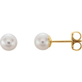 14kt Yellow 5mm White Akoya Cultured Pearl Earrings