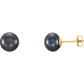 14kt Yellow 7-8mm Black Freshwater Cultured Pearl l Earrings