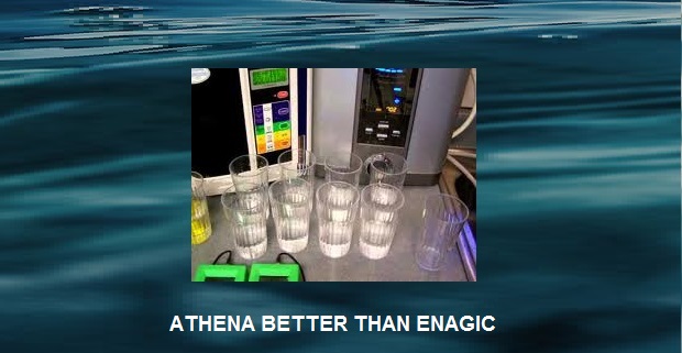 enagic fluoride filter