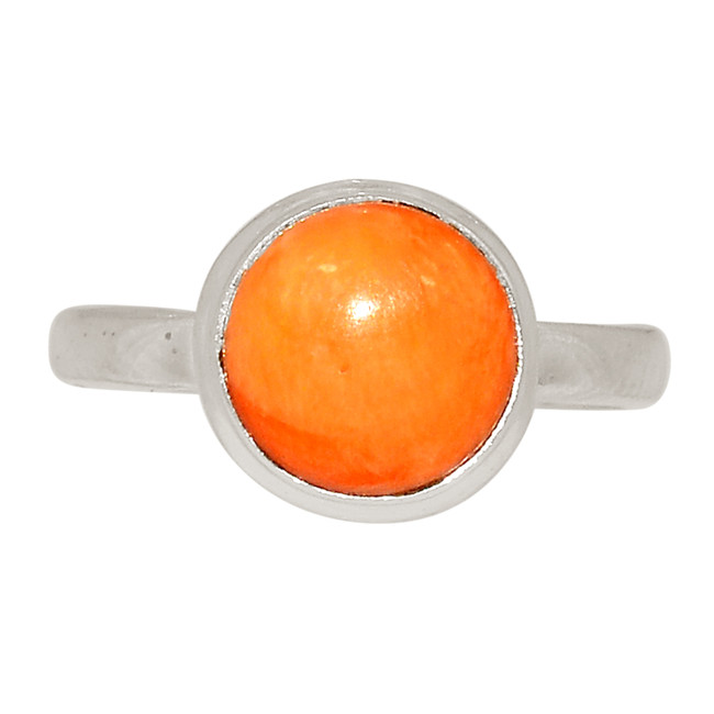 Natural Natural Oyster 925 Sterling Silver Ring Jewelry s.7 ALLR-29578