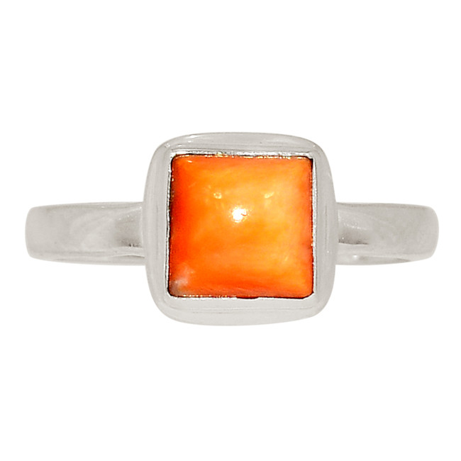 Natural Natural Oyster 925 Sterling Silver Ring Jewelry s.8 ALLR-29580