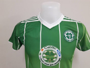 green and white celtic no.50
