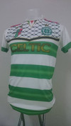 half celtic half palastine