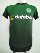 celtic "its in my dna" embroidery badge #94
