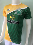 CELTIC GREEN AND YELLOW #277