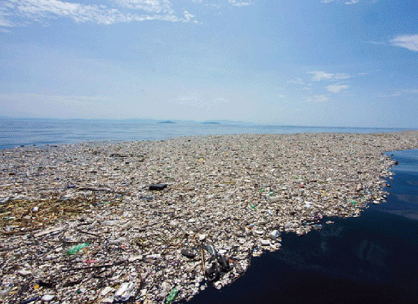 trash-in-ocean-15frameswithstop.gif