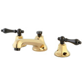 NS4466AL - Polished Brass/Black Stainless Steel