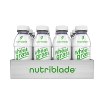 Wild Blueberry 12 Pack