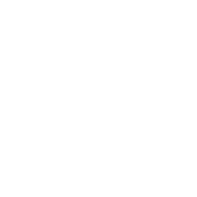vegan