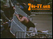 Memphis wrestling dvds