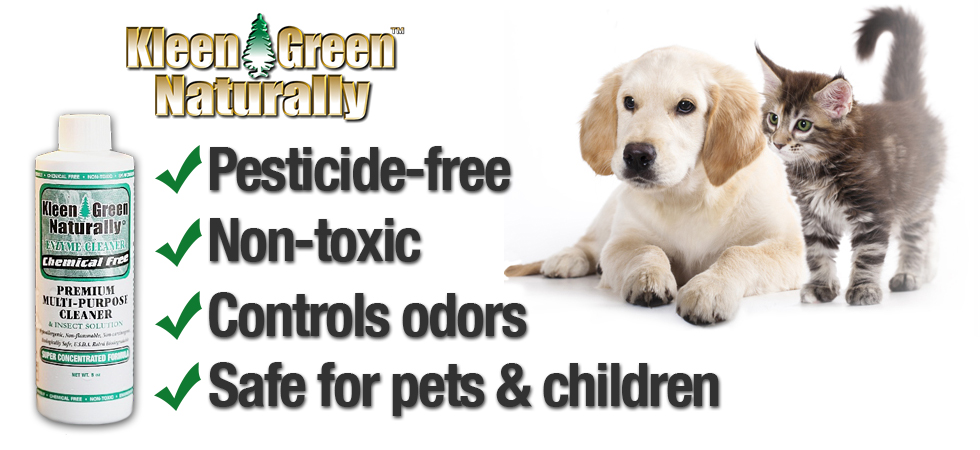 Kleen Green is safe for Pets