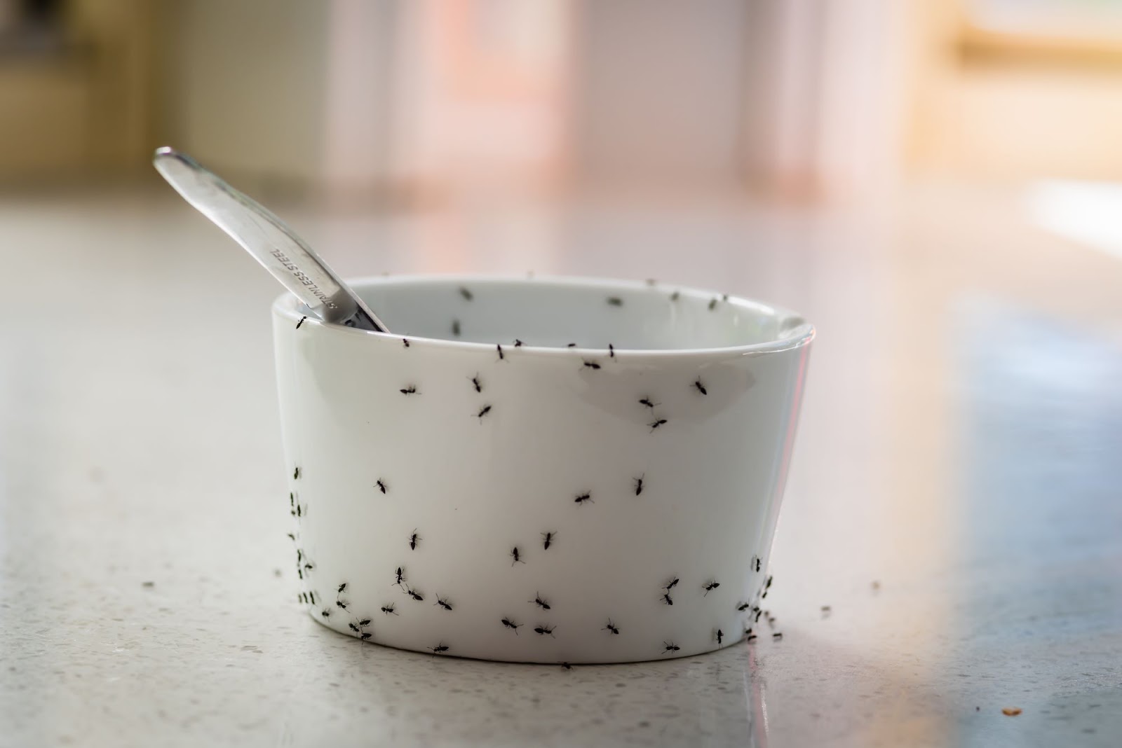 Ants on a cup.