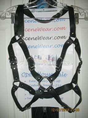 This is an Extra Large Size Harness.