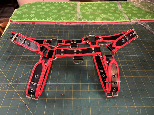 Bull Dog Harness in PVC