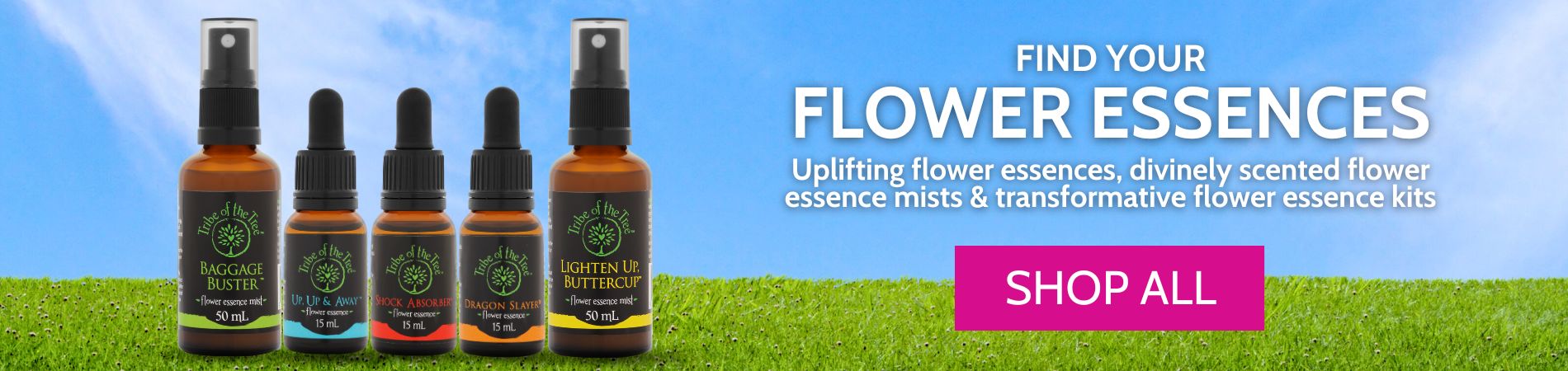 Find Your Flower Essences