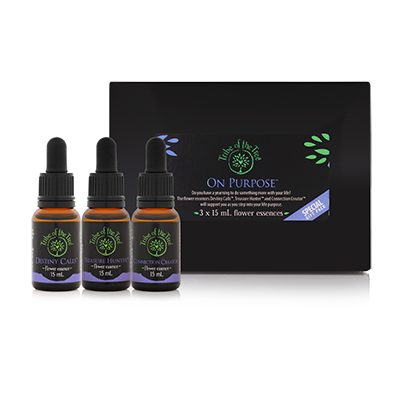 On Purpose Flower Essence Kit, comprised of the flower remedies Destiny Calls, Treasure Hunter and Connection Creator