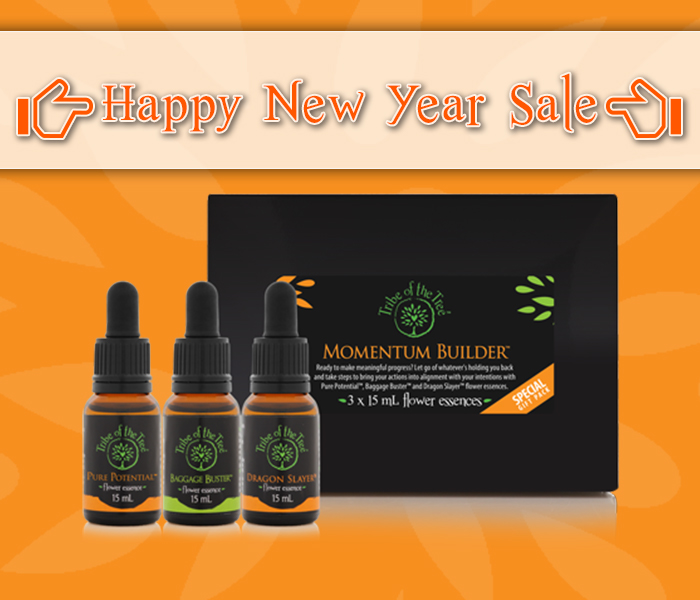 New Year savings on selected flower essence kits from Tribe of the Tree