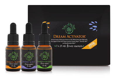 Dream Activator Flower Essence Kit, comprised of the flower remedies Dragon Slayer, Manifestation Mojo and Destiny Calls