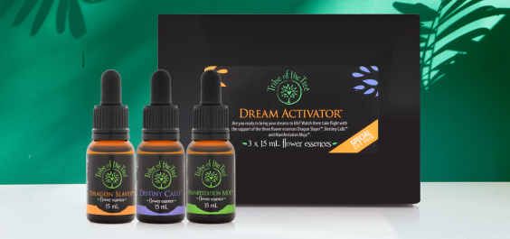 Dream Activator Kit
