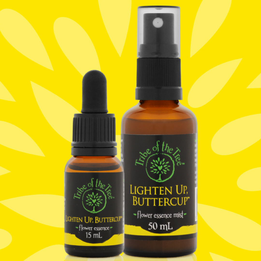 Lighten Up, Buttercup Flower Essence Kit, comprising Lighten Up, Buttercup flower remedy and positivity spray