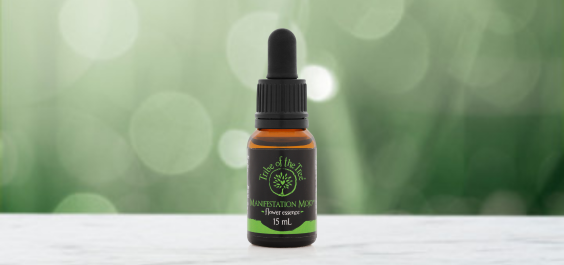 Manifestation Mojo