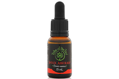 Shock Absorber Flower Essence, a flower remedy for stress, shock and trauma