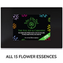 Tribe of the Tree's Full Kit & Caboodle Flower Essence Kit - our complete range of 15 flower essences