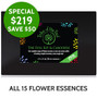 Save $50 on Tribe of the Tree's Full Kit & Caboodle Flower Essence Kit - our complete range of 15 flower essences
