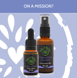 Connection Creator Flower Essence Kits, containing Connection Creator flower remedy and flower essence spray