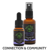Connection Creator Flower Essence Kits, containing Connection Creator flower remedy and flower essence spray