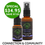 Christmas savings on Connection Creator Flower Essence Kits, containing Connection Creator flower remedy and flower essence spray