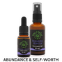 Treasure Hunter Flower Essence Kit consisting of Treasure Hunter Flower Remedy and Abundance Spray
