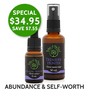 Christmas savings on Treasure Hunter Flower Essence Kit consisting of Treasure Hunter Flower Remedy and Abundance Spray