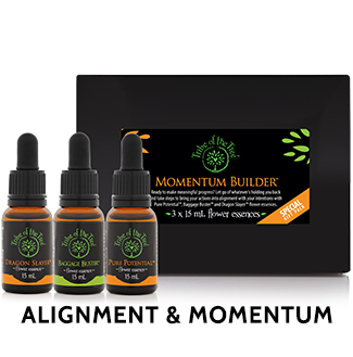 Momentum Builder Flower Essence Kit, containing Dragon Slayer, Baggage Buster and Pure Potential