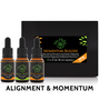 Momentum Builder Flower Essence Kit, containing Dragon Slayer, Baggage Buster and Pure Potential