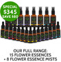 Save $80 on Tribe of the Tree's Full Kit & Caboodle Flower Essence Kit with Mists - our complete range of 15 flower essences and 8 flower essence mists