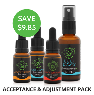 A special bundle of flower essences to support you during times of change, upheaval or crisis: Shock Absorber, Go with the Flow, and Up, Up & Away Flower Essence and Flower Essence Mist.