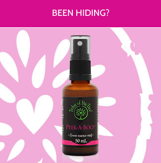 Peek-A-Boo Flower Essence Mist. Handmade from native Australian Pig Face flowers to help you open your heart, be emotionally courageous and engage fully with life