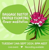 Baggage Buster Energy Clearing Flower meditation