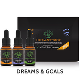 Dream Activator Flower Essence Kit, containing Dragon Slayer, Manifestation Mojo and Destiny Calls flower remedies to help bring dreams to life